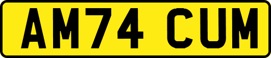 AM74CUM