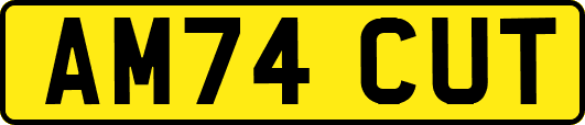 AM74CUT