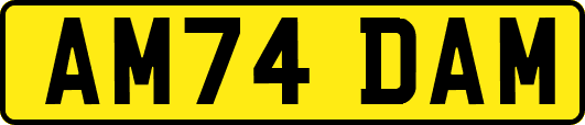 AM74DAM