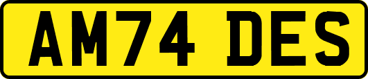 AM74DES
