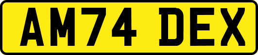 AM74DEX