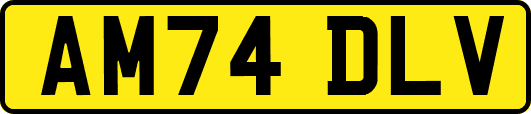 AM74DLV