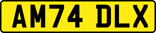 AM74DLX