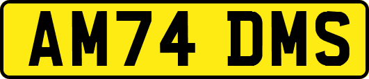 AM74DMS