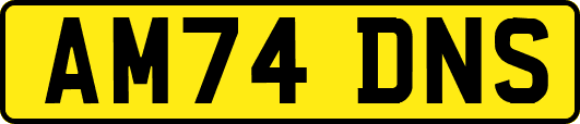 AM74DNS