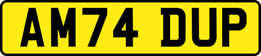 AM74DUP