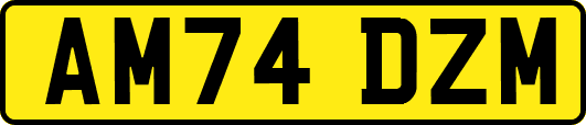AM74DZM