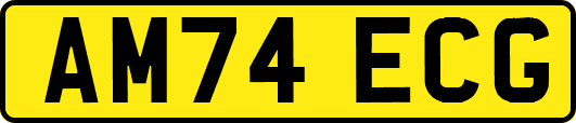 AM74ECG