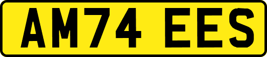 AM74EES