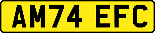 AM74EFC