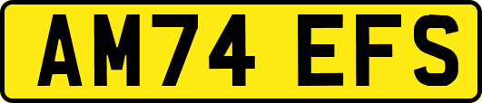 AM74EFS