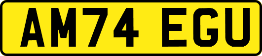 AM74EGU