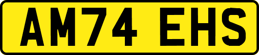 AM74EHS