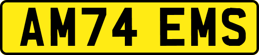 AM74EMS