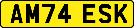 AM74ESK