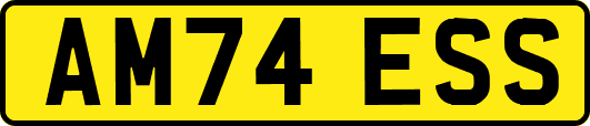 AM74ESS