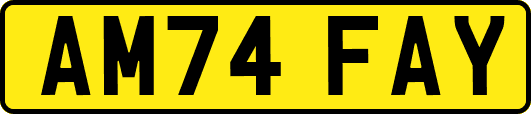AM74FAY