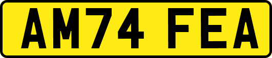 AM74FEA
