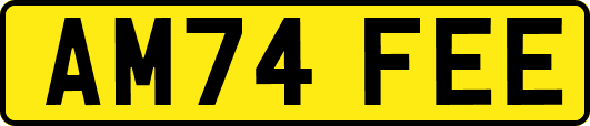 AM74FEE