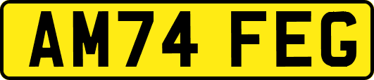 AM74FEG