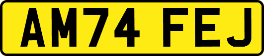 AM74FEJ