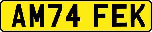 AM74FEK