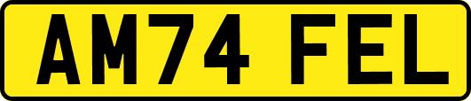 AM74FEL