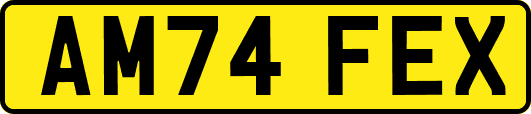 AM74FEX