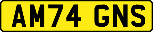 AM74GNS