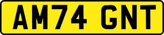AM74GNT