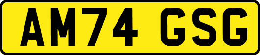AM74GSG