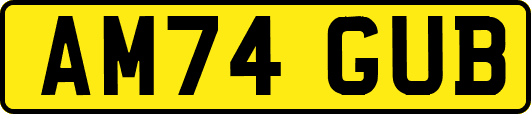 AM74GUB