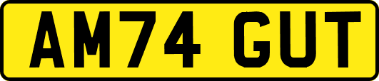 AM74GUT