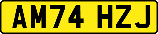 AM74HZJ