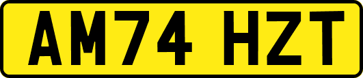AM74HZT