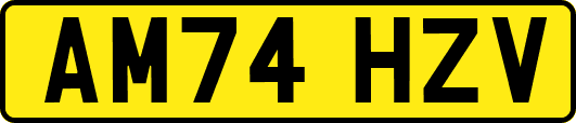 AM74HZV