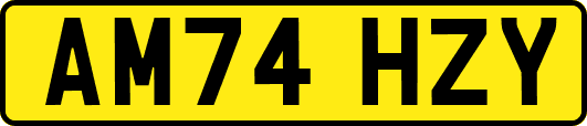 AM74HZY