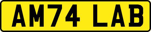 AM74LAB