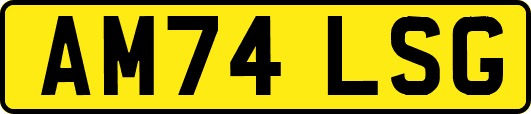 AM74LSG