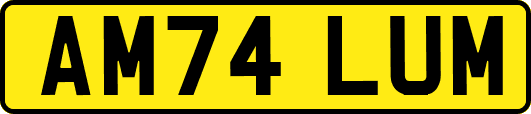 AM74LUM