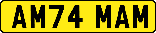 AM74MAM