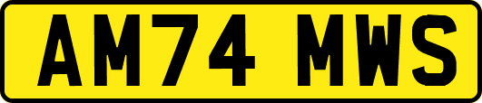 AM74MWS