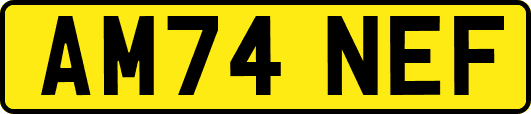 AM74NEF