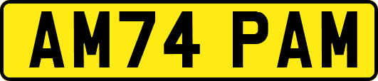 AM74PAM
