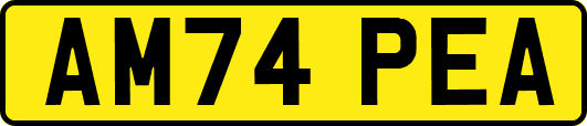 AM74PEA