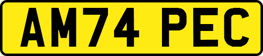 AM74PEC