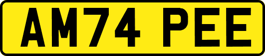 AM74PEE