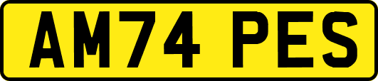 AM74PES