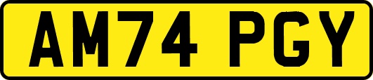 AM74PGY
