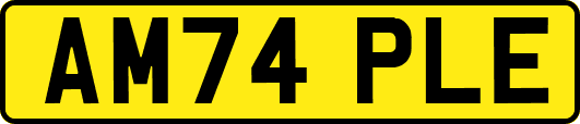 AM74PLE